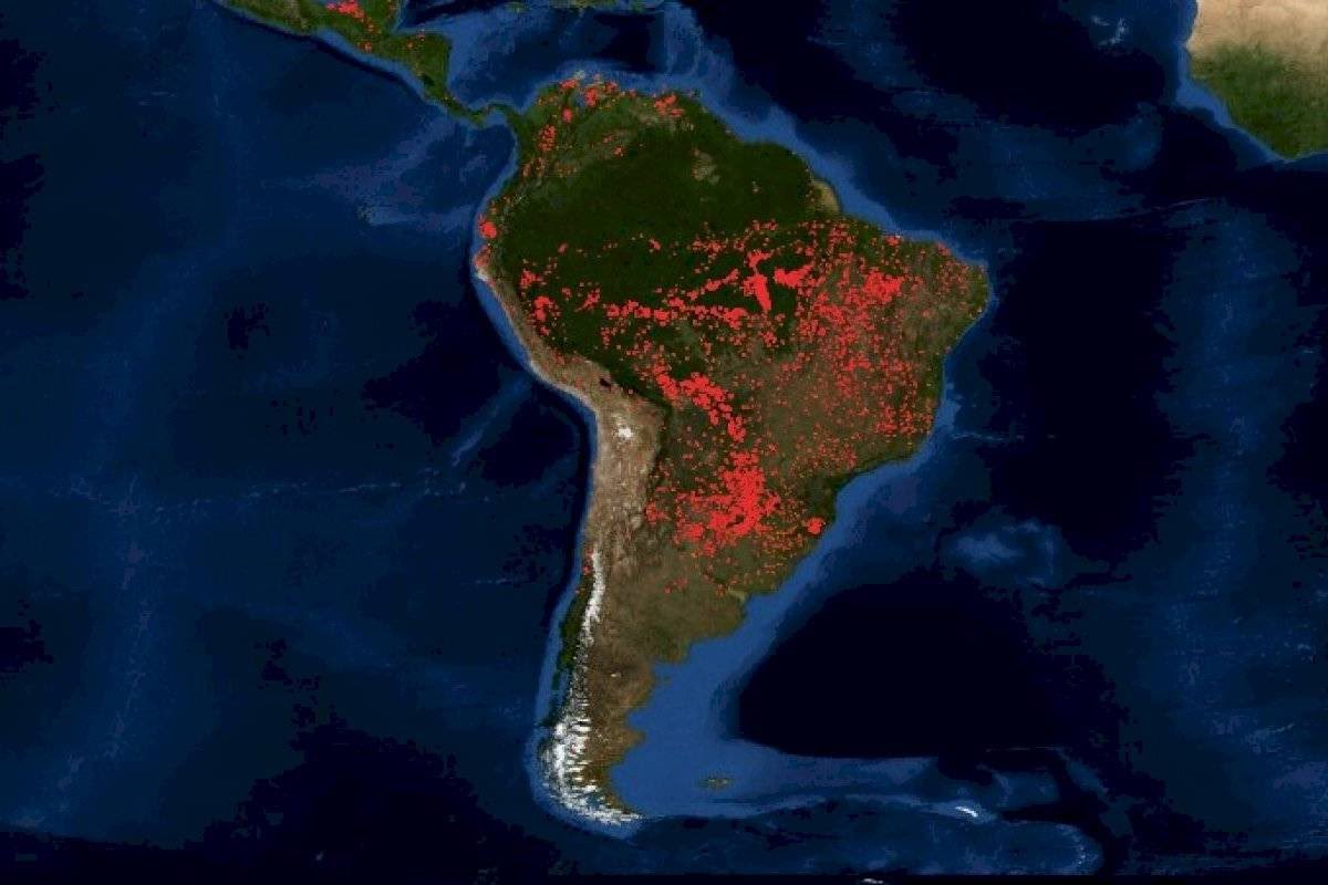 KSABNI's tweet photo. Cuando se quemó Notre Dame se declaró una tragedia mundial y en sólo días se recaudaron 218 millones de euros para reconstruirlo.
Lleva 16 días quemándose el #Amazonas, el pulmón del mundo, el que alberga más de 600 especies y NADIE HACE NADA, esto se va a la mierda ! https://t.co/qiyycymKKw