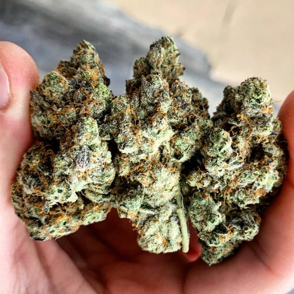 budofficial's tweet photo. #caliplug #loudpack #gelato33 #dosidos #tlccollective #dankvapes #dankwoods #prop215 #waxcarts #thc
Txt/WhatsApp:+1 (631) 629-5498
Snapchat :ben_smith8834
Wickr:bensmith961 https://t.co/jVnyRdNLhR