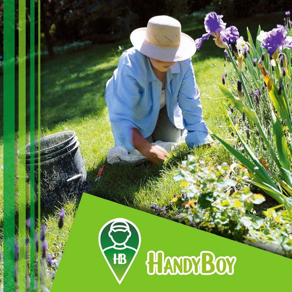 HandyboyApp's tweet photo. ¿Sabes cada cuándo regar tu pasto paras que esté siempre saludable? #HandyTips https://t.co/GRZesZ0Q25 https://t.co/LgOrUjDX18