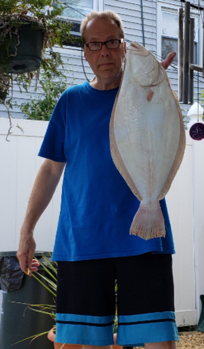 saberonyx's tweet photo. Fishing the waters between Wantagh and Meadowbrook Bridge caught a 24 inch fluke. @Jones_Beach #fishing #LongIsland #discoverliny https://t.co/lJv9haY6A3