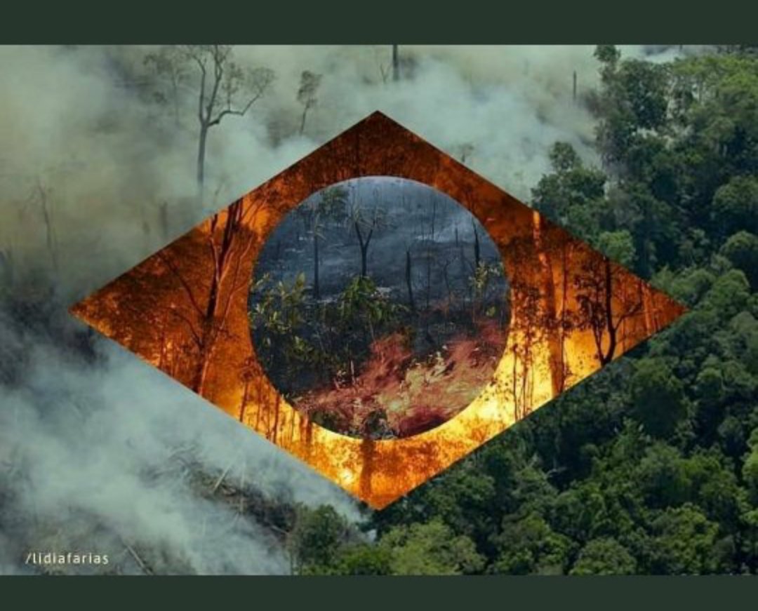 DenizeS09326210's tweet photo. POR ISSO URGENTÍSSIMO..
#IMPEACHMENTBOLSONAROEMORÃO 
@gleisi 
@DeputadoFederal 
@zeca_dirceu 
@jandira_feghali 
@senadorhumberto 
@STF_oficial 
@MPF_PGR 
@elpais_brasil 
@ReutersBrasil 
@dw_brasil 
@lemondefr 
@bbcbrasil 
@AlJazeera 
@ActualidadRT 
@sputnik_brasil https://t.co/BEK2Qn3KW1