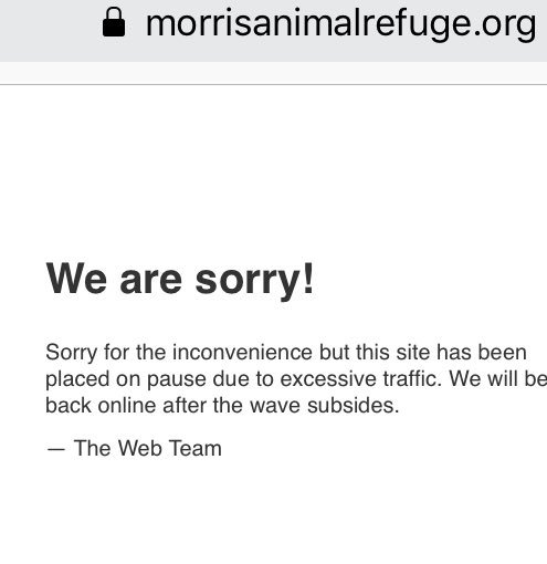 Morris Animal Refuge tweet media