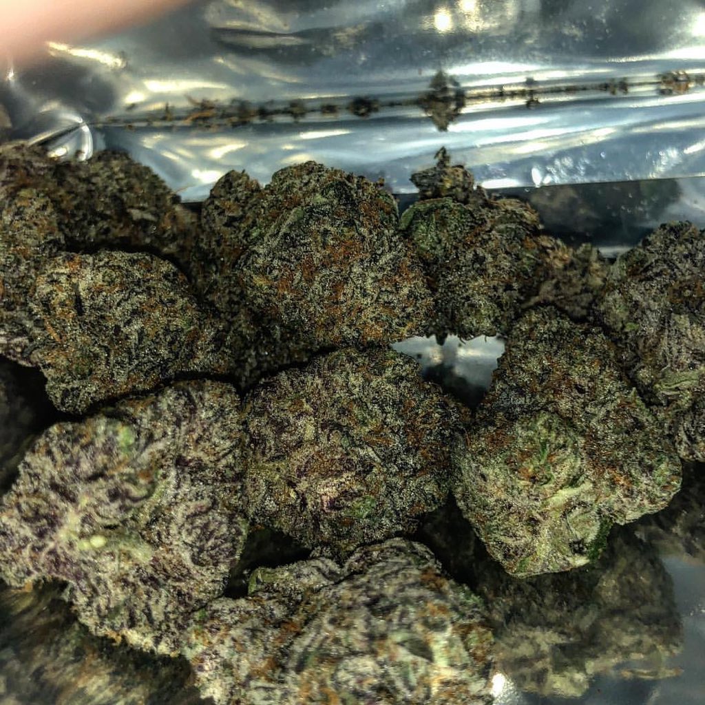 budofficial's tweet photo. #dankvapesofficial #dankvapes #Tangie #purplepunch #mojito #diamondog #whiterhino #watermelon #wax #waxcartridges #waxpen #thccartridges #thccarts
Txt/WhatsApp:+1 (631) 629-5498
Snapchat :ben_smith8834
Wickr:bensmith961 https://t.co/ZI9LKboeqj