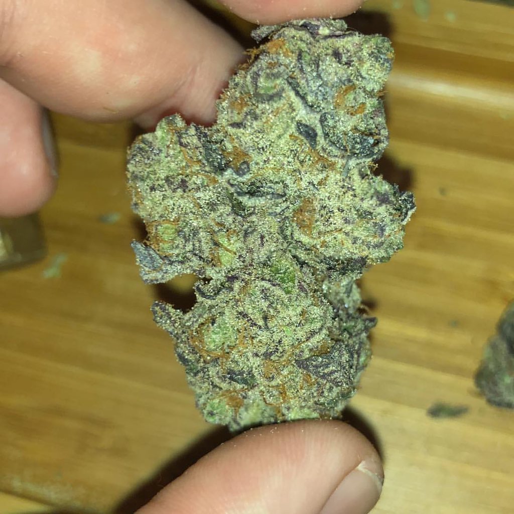 budofficial's tweet photo. #kushandwizdom #kushagram #kushpassion #dailydabs #dabs #dankmemes #dabstagram #cbdcatridge #cbdcartridges #cannabiscommunity #weed🍁 #sativa #instagram
Txt/WhatsApp:+1 (631) 629-5498
Snapchat :ben_smith8834
Wickr:bensmith961 https://t.co/iY5xG1UbLd