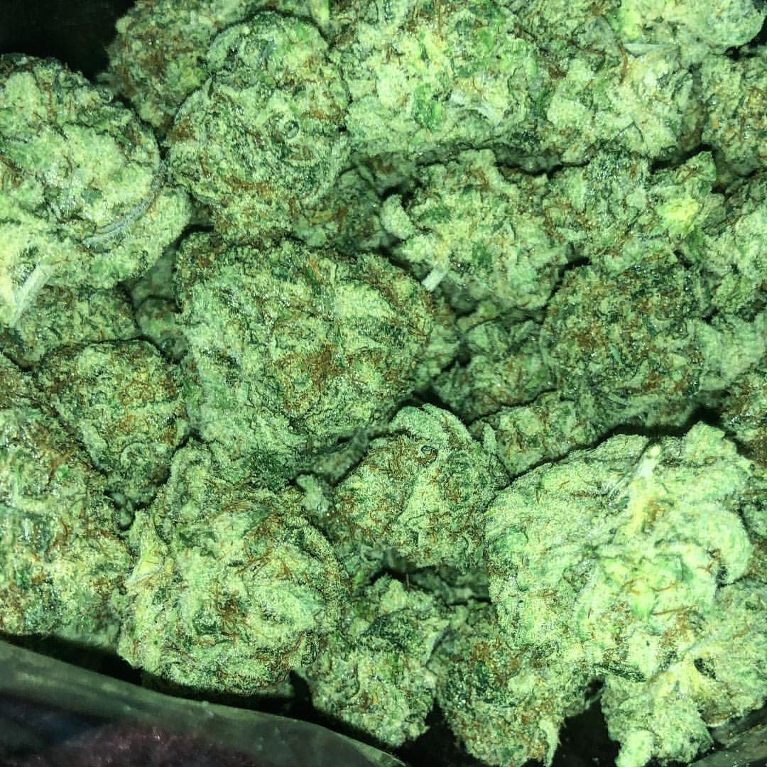 budofficial's tweet photo. #beuh #beuz #420 #thc #drole #mdr #og #ogkush #parisweed #growingweed #pyramidseeds 
 #weedfrance #kingpen710 #smokingstrong #cherrypunch #weeduk #weedcommunity #weedpage #weedusa #burnshot  #420world
Txt/WhatsApp:+1 (631) 629-5498
Snapchat :ben_smith8834
Wickr:bensmith961 https://t.co/fU6IiT8TCC
