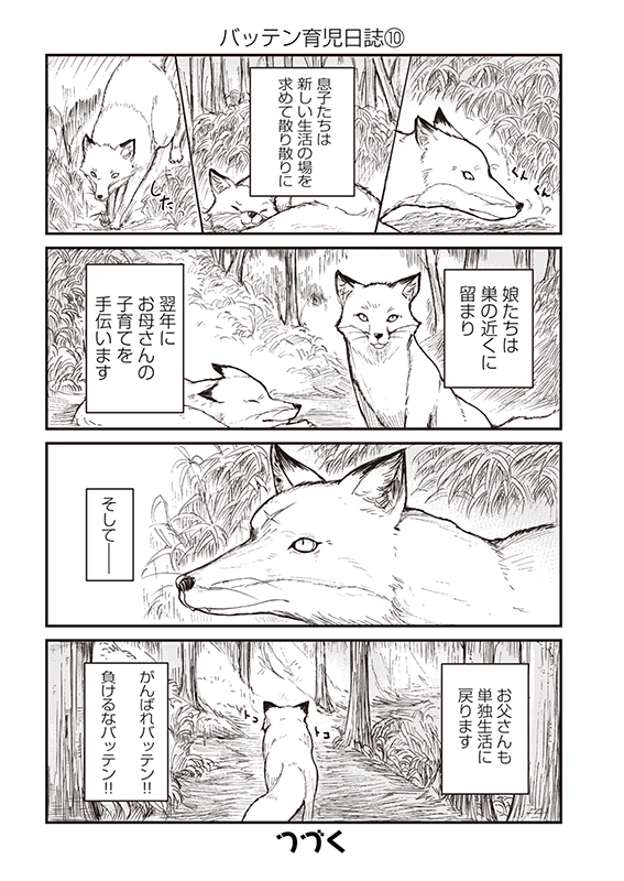 【狐のお嫁ちゃん】幕間28「バッテン育児日誌9&10」 