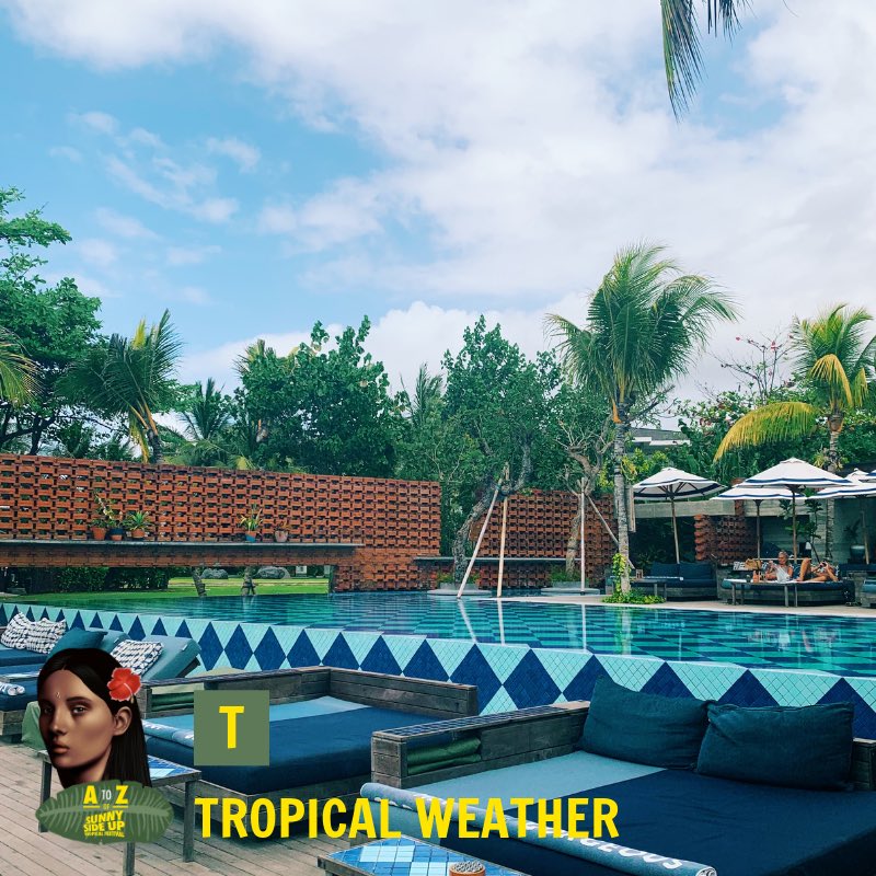 Bali's Tropical weather —  the heat, the salty air, and the sunny breeze are few of the perks of #SSU19 we don't wanna miss! Did you get your tickets yet? Head to sunnysideupfest.com

#AtoZofSSU