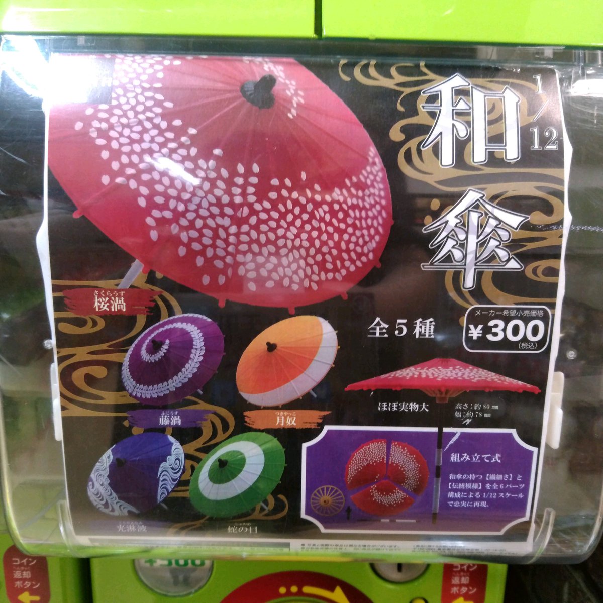 ガチャ王国広島店 Pa Twitter 好評販売中 1 12 和傘 ガチャガチャ ガチャ 広島 Hiroshima 本通 和傘 ミニチュア オモ写 ぬい撮り