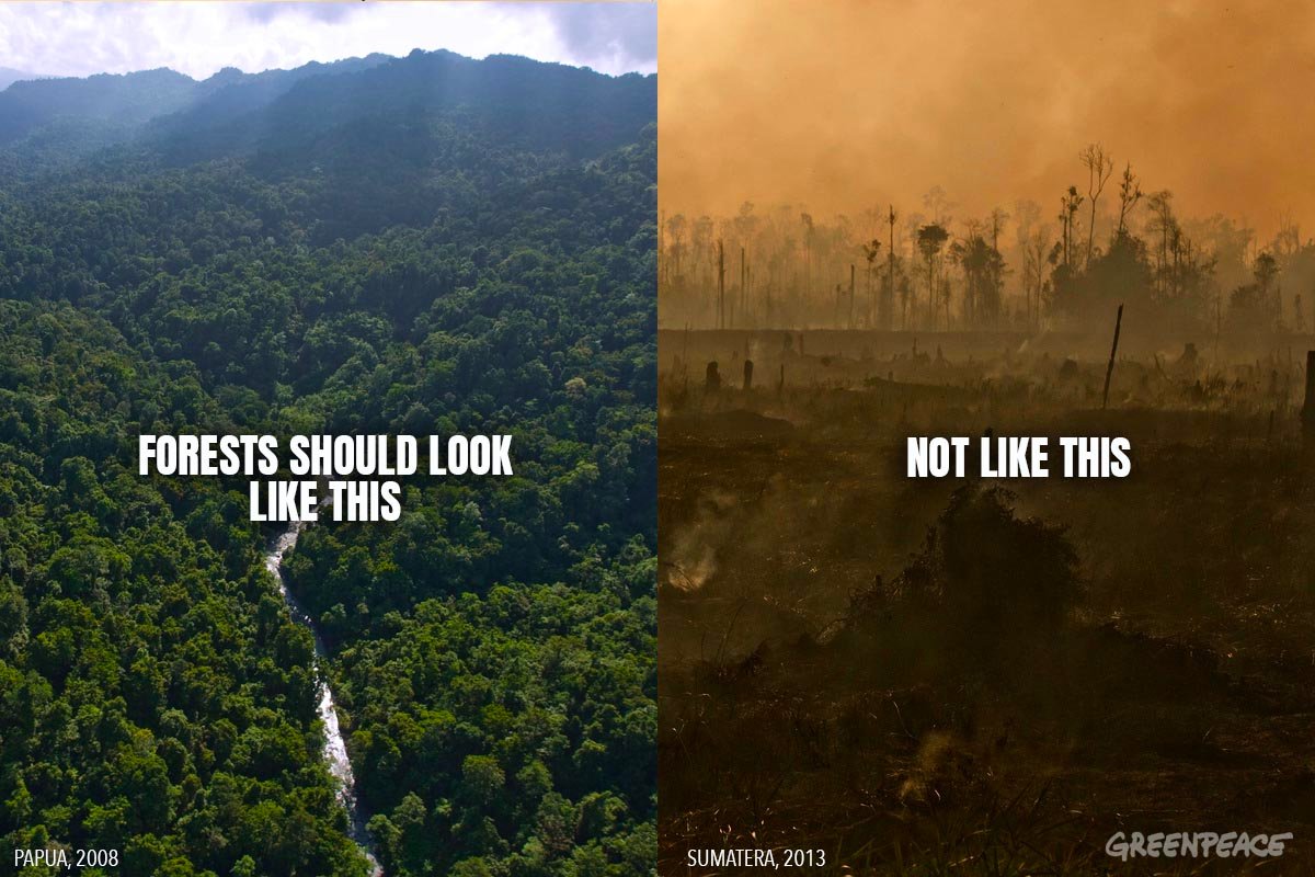 Siberia, Indonesia, Brazil, Greenland, The Canary Islands, Alaska. Forests around the world are on fire🔥🔥🔥

This is a #ClimateEmergency. RT If you agree.