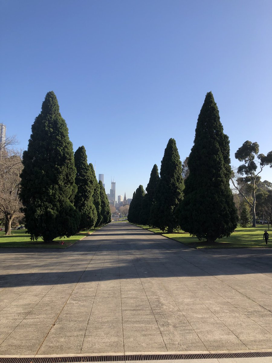 Bundogs's tweet image. Cracker jack morning in Melbourne #avenue #melbourne #apprenticeweek