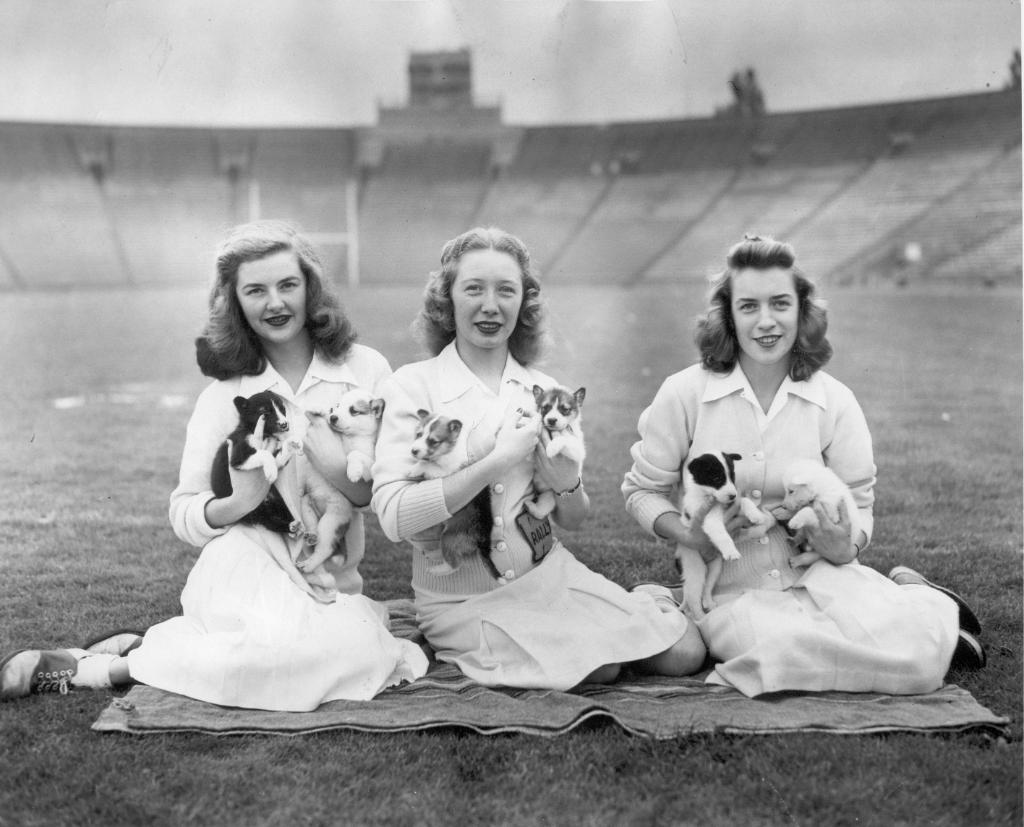 Vintage black and white photo of Husky cheerleaders with puppies.
