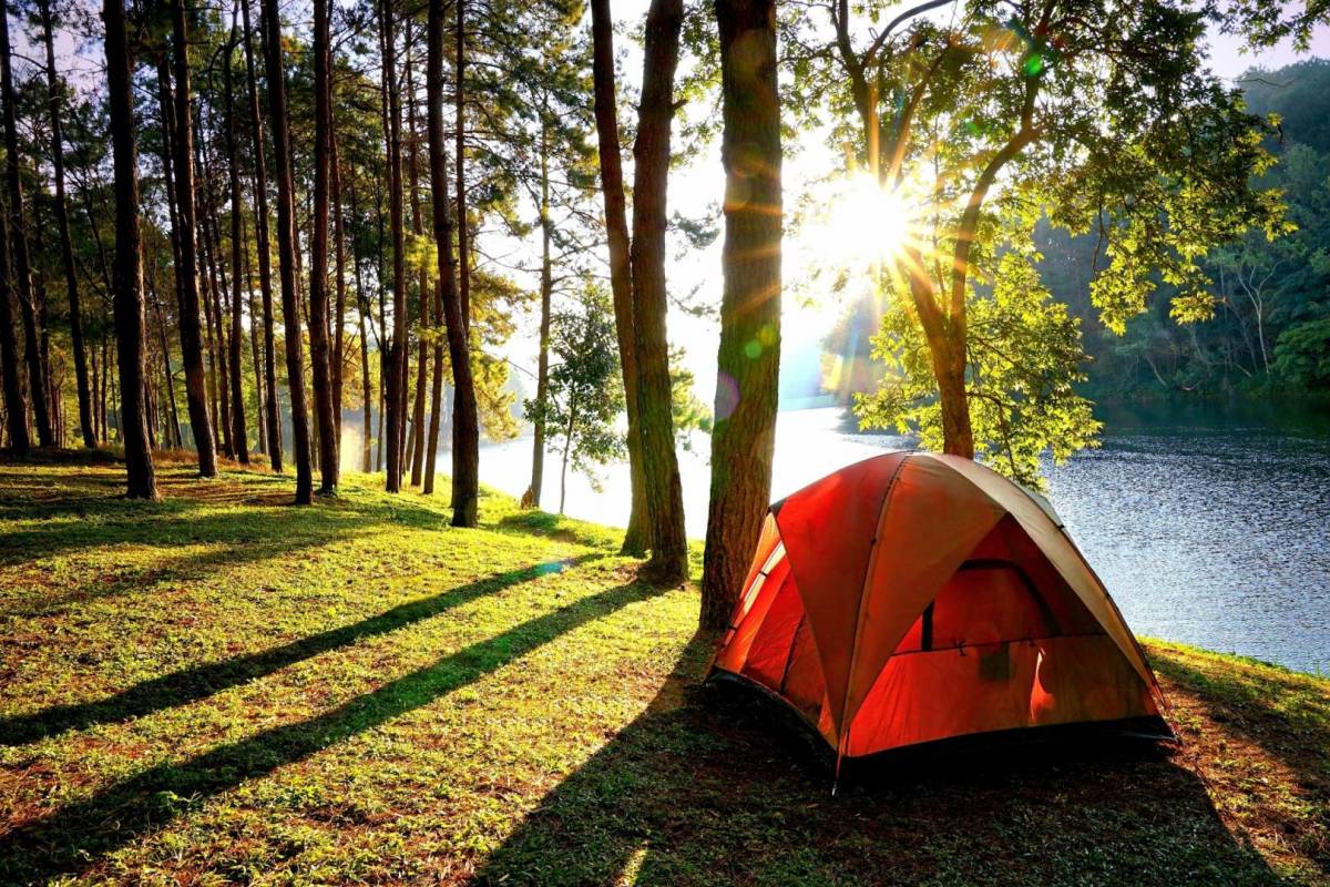 zonalacustre's tweet photo. Es tiempo de sacar la carpa que estuvo guardada durante el invierno; se acerca la primavera, se acerca el Sol.
#DisfrutaPuycón
#InstaPucon
#Pucóhttps://t.co/vjpSCWXdYB
https://t.co/GtXvCjOu0w https://t.co/7ZhKOntnGA