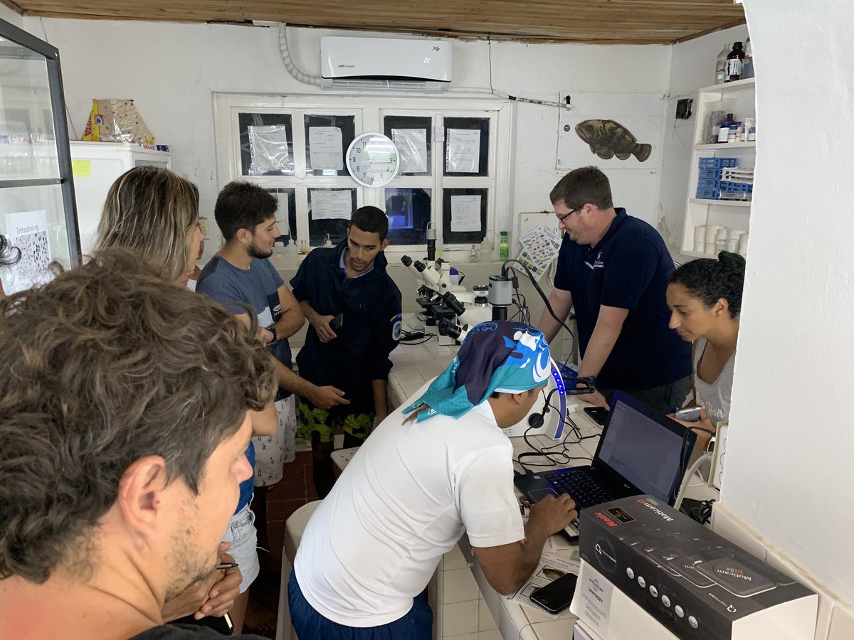 DMHudsonPhD's tweet photo. Last night we were the 1st to observe a wild #Acropora cervicornis coral spawn in the #Colombian #IslasdelRosario national park. The #corals in the @oceanarioislas1 nursery also spawned! Gracias a todos!
@MaritimeAqua @ParquesColombia @acuariorodadero @ConnCollege https://t.co/qFtvKfjgVj