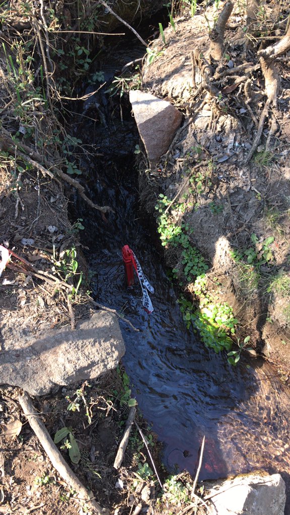 lu4hk's tweet photo. @emlid Stake in water https://t.co/5lSHzJ4tDH