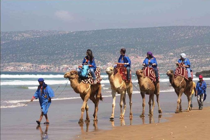 TravelToe's tweet photo. New #Tour in #Agadir #PortsofCallTours https://t.co/SFHgWlR0jt Agadir Camel Beach Ride https://t.co/CPtlLCPEZh