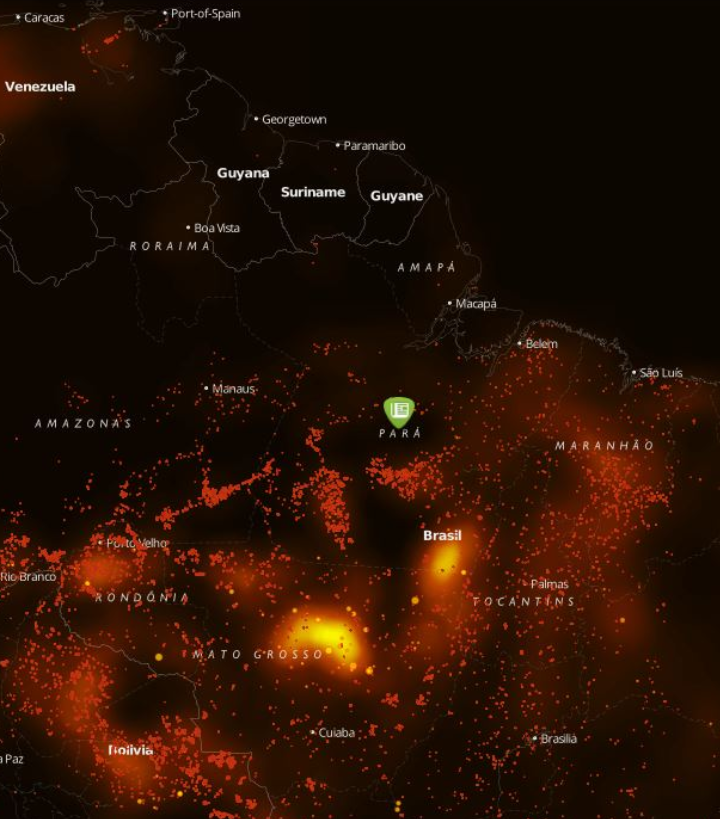 temoris's tweet photo. El hashtag #PrayForAmazonia es uno de los más tontos que he visto. #ActForAmazonia tendría sentido, #FightForAmazonia tendría más contundencia, #KickOutBolsonaro sería el primer, urgente paso.

Pero reza por Amazonas... luego te terminas tu lechita y te vas a dormir.

1/2 https://t.co/mW4OHkEOep