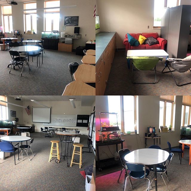 mayer_science's tweet photo. and the top #RoomRedesign layout created by....
Sylvie and Isla!  #MayerScience #CaseyProud https://t.co/H1WA7WsA1G
