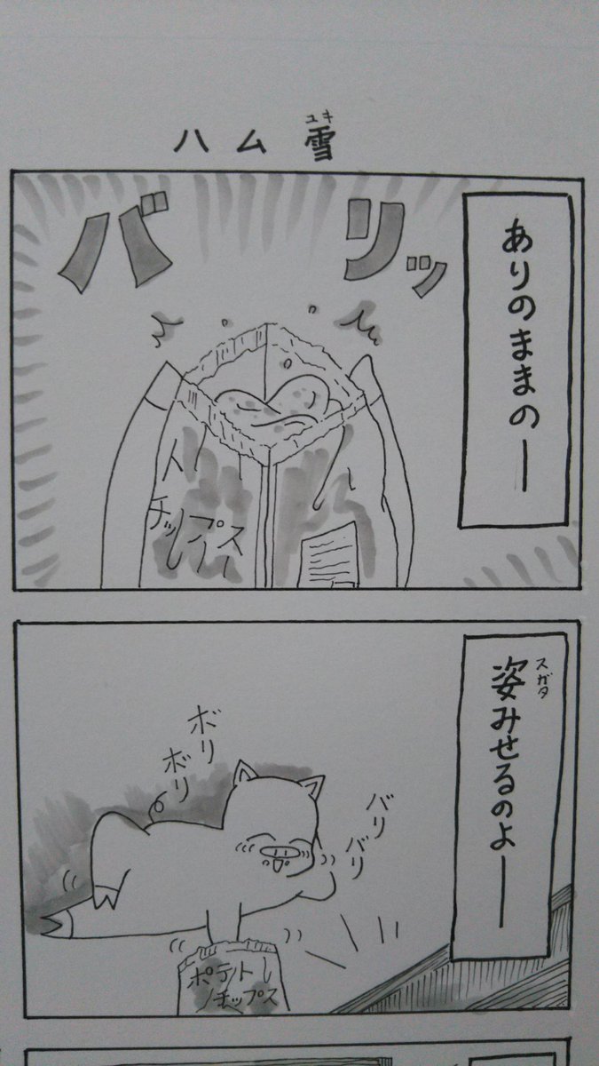 『こぶたのハムちゃん』
蔵出しハムちゃんシリーズ
ハムちゃん『レリゴー』の歌詞間違えてましたなのだ?
#こぶたのハムちゃん #漫画 創拡 