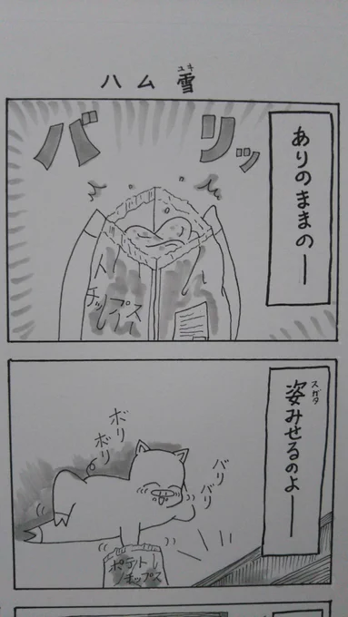 『こぶたのハムちゃん』
蔵出しハムちゃんシリーズ
ハムちゃん『レリゴー』の歌詞間違えてましたなのだ?
#こぶたのハムちゃん #漫画 創拡 
