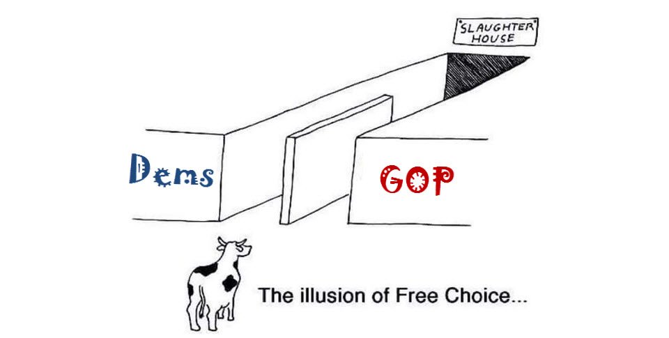 NineInchBride's tweet photo. #ActOut! 222 - As we stare down #Election2020, science shows us the pitfalls of "democratic hierarchies"—presidents & “representatives"—in a sprawling, complex country; +
Comedian #KrishMohan on the power of art, of laughter, & the power of blending them w/ political commentary… https://t.co/NklnYut82z