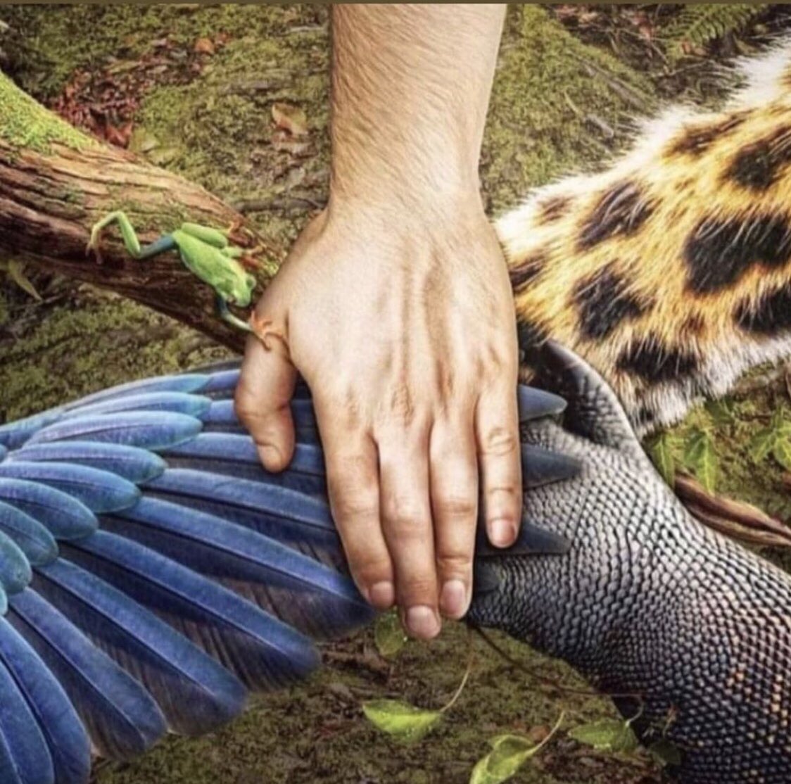 axelthemua's tweet photo. @KarolGmusic encontró una organización que pertenece a @LeoDiCaprio para poder ayudar con estos desastres naturales.
El mundo necesita de nuestra ayuda AHORA!  Donemos hoy y salvemos a nuestro mundo que es la unica casa que tenemos. HAZ TU DONACIÓN AQUÍ https://t.co/T7kblgKjfj https://t.co/RiacoqynQM
