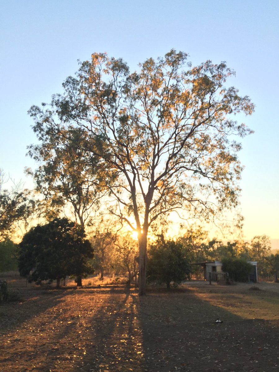 Karmageddon67's tweet photo. If everyone appreciated the natural world, as much as I do, and could see it being destroyed, as acutely as I do, they wouldn’t be having any children, like I chose not to, and the biosphere would be already recovering. But hey, no-one gives a FUCK. (Almost) #auspol #qldpol #wpol https://t.co/vAAJol5kuo