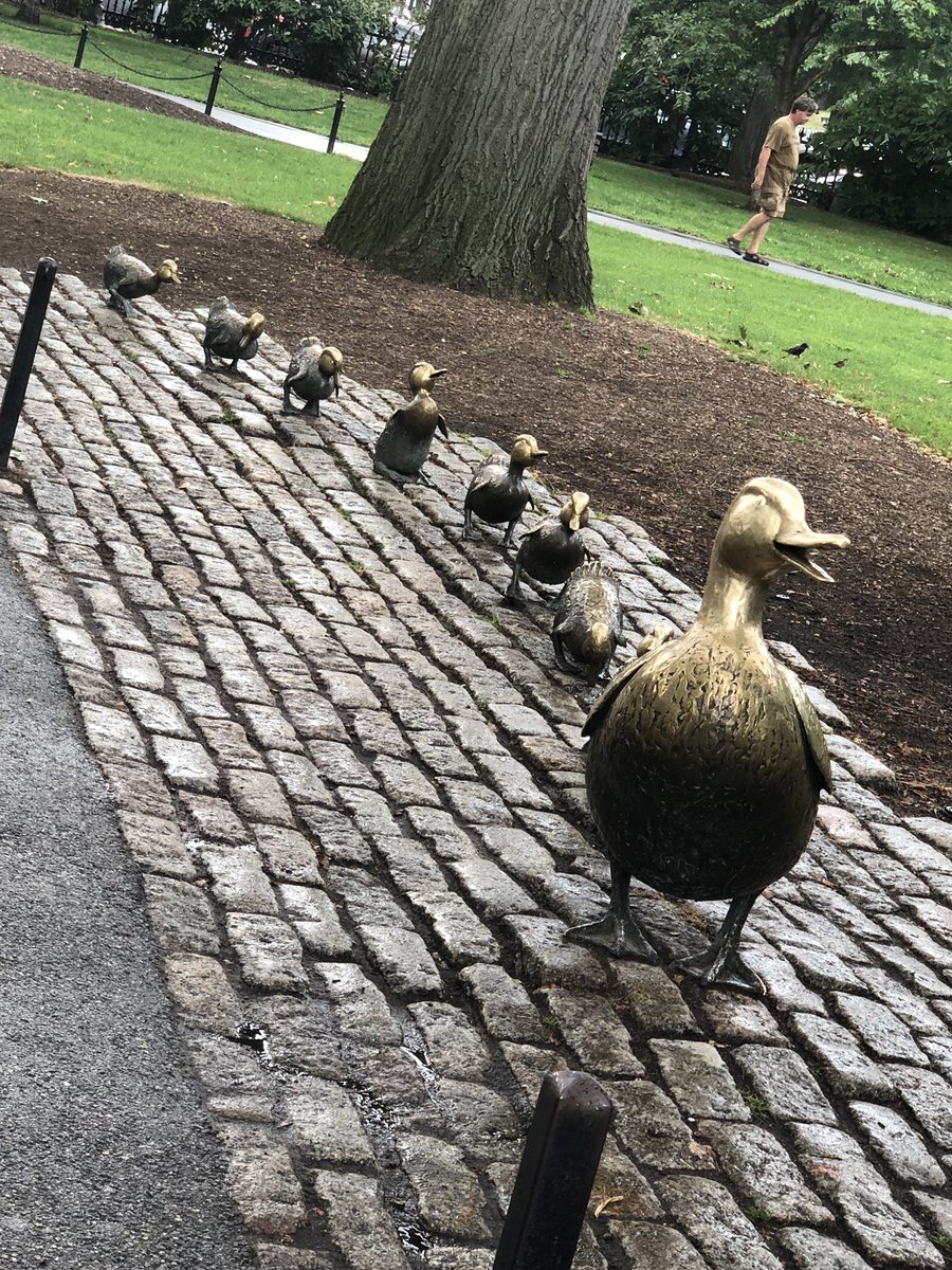 cwilliamsark's tweet photo. Boston ❤️: Make way for....ducklings, swan boats, seafood, cobblestones  #tcrwp #history #staffdeveloperlife https://t.co/F5FKGVK0Na