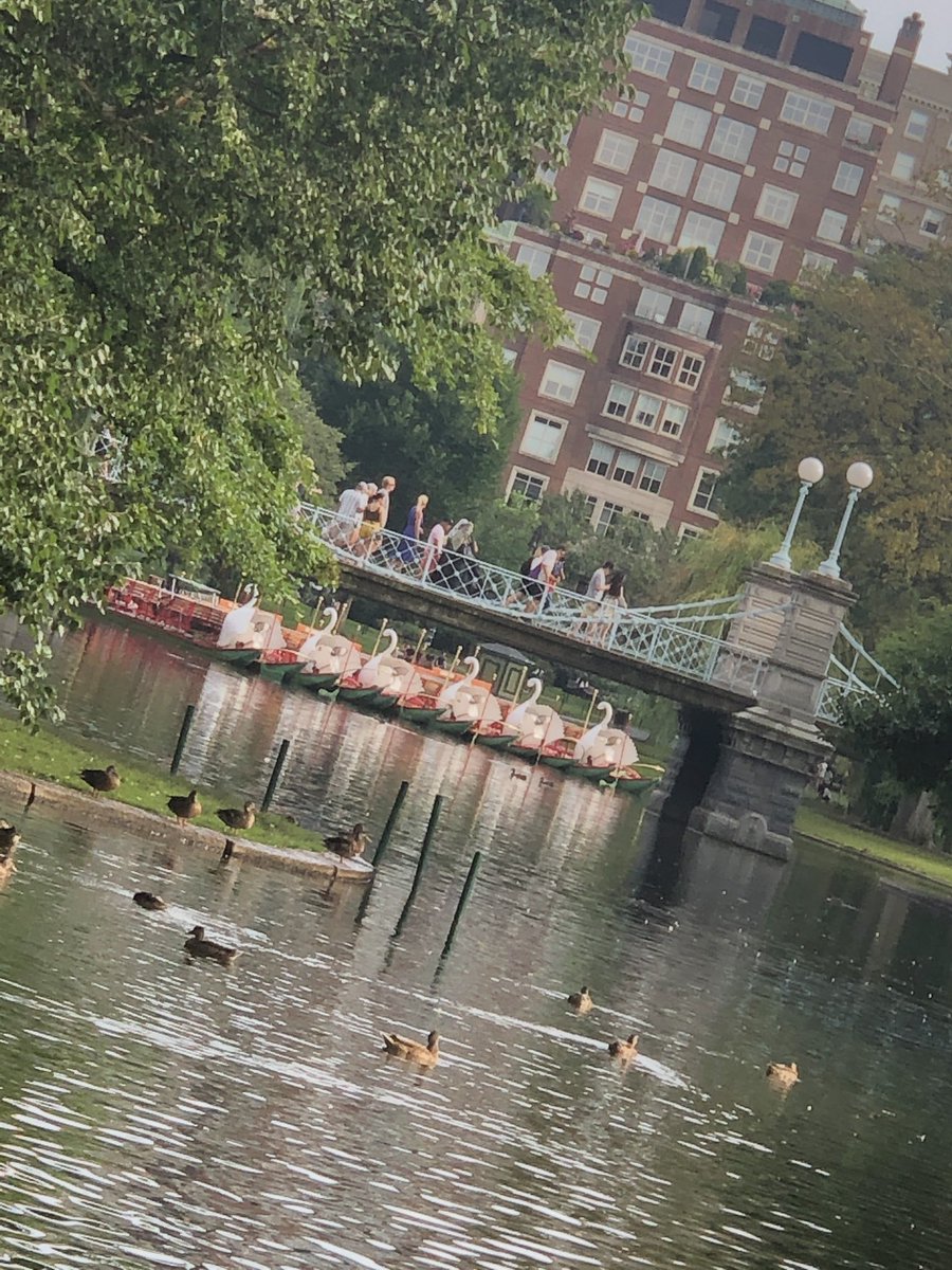 cwilliamsark's tweet photo. Boston ❤️: Make way for....ducklings, swan boats, seafood, cobblestones  #tcrwp #history #staffdeveloperlife https://t.co/F5FKGVK0Na