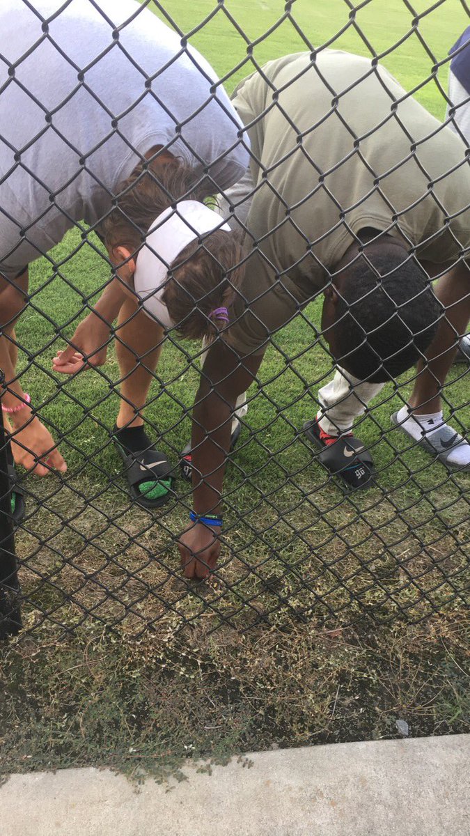 kyleehosmer10's tweet photo. A few of our players and coach @jdcoachwilliams #growingthecorn today as we get ready for our first game of the season tomorrow night. Jacket nation, let’s pack the pinelands! 💙💛🏈 #catchdogs #flyhigh58 https://t.co/Vkpaa3qCvg