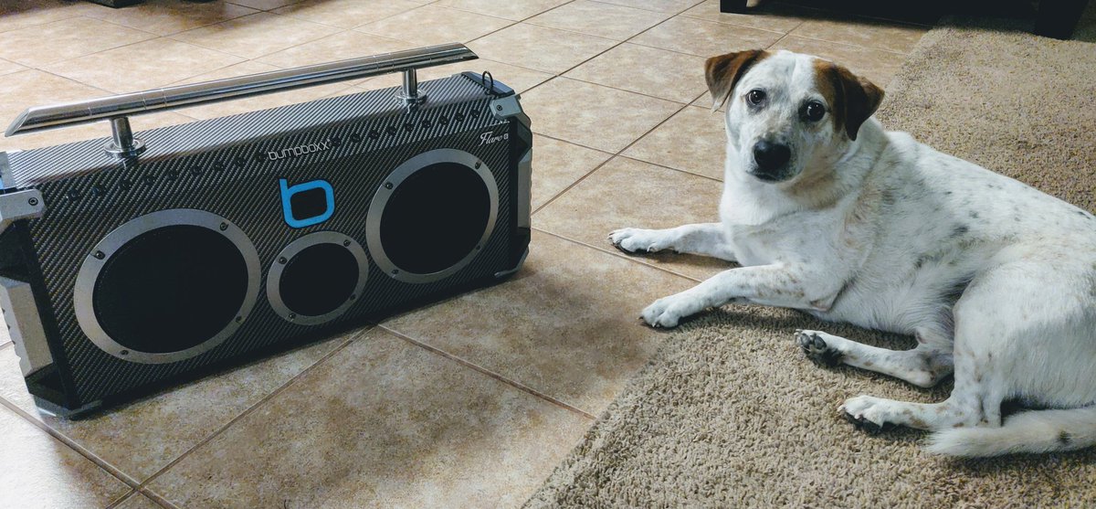 kimomusic's tweet photo. New toy! #bumpboxx @BumpBoxx https://t.co/kFdHe1QDDy