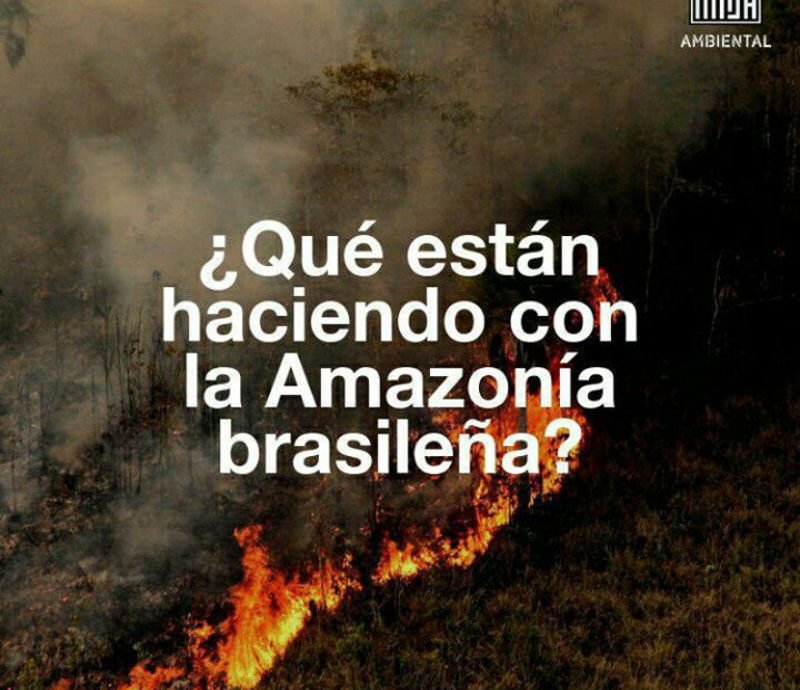 #Incendios de #BosquesNativos: Un daño gravísimo para todo el planeta y la humanidad. Ver nota de  <a href="/MeliDassano/">#VolveralaTierra</a> >>  n9.cl/ka9a <a href="/Lavacatuitera/">lavaca tuitera</a> <a href="/SaladePrensaAmb/">Sala de Prensa Ambiental</a> <a href="/farnargentina/">FARN</a> <a href="/GreenpeaceArg/">Greenpeace Argentina</a> <a href="/Lmdiariocomar/">La Nueva Mañana</a> <a href="/gambaok/">Gamba Online</a> <a href="/cdbncordoba/">CoDeBoNaCórdoba</a> #PrayforAmazonia #SOSAmazonas