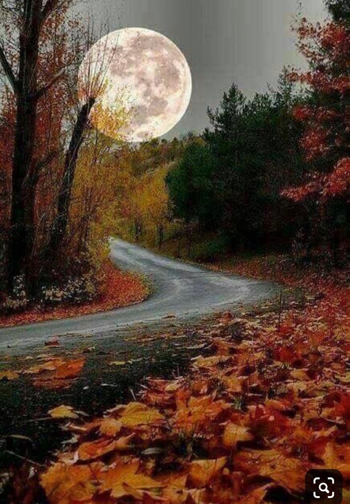 Kyon gumraah hai zameen par insaaniyat 
Khoj liya hai jabki chaand tak ka raasta...

- Neelesh Jain