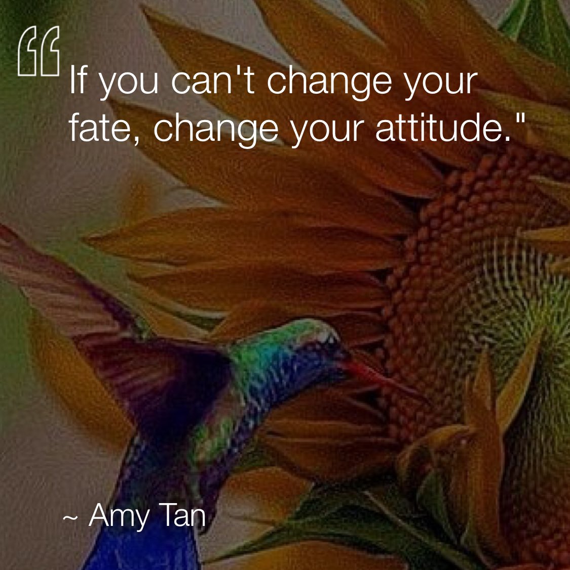 If you can't change your fate, change your attitude. —Amy Tan via <a href="/dailyqotdapp/">DAILYQOTDAPP</a> #dailyqotdapp