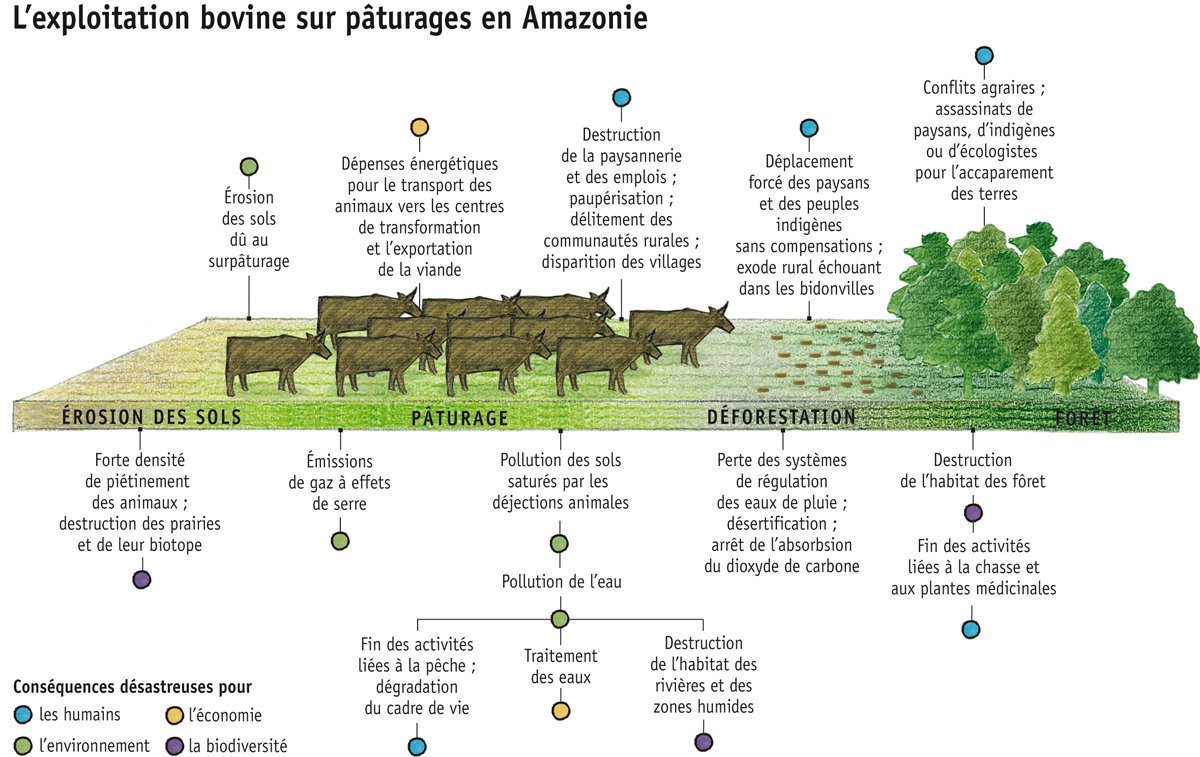 ADécroissance tweet media