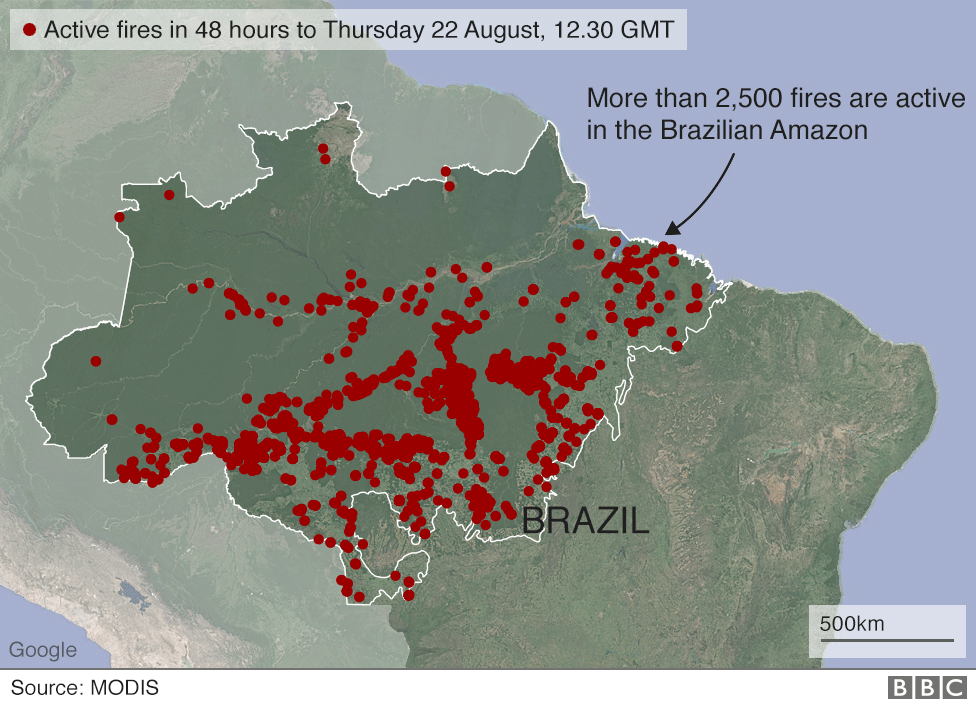 BBCNewsGraphics's tweet photo. Thousands of fires are ravaging the Amazon rainforest in Brazil. How bad are they? https://t.co/HyUUSVeP5q #AmazonFires https://t.co/vJ1E7pr8eX