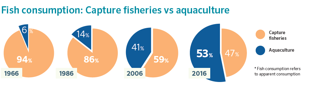 FAOfish's tweet photo. Fitting on this #FishFriday that our @FAO #COFIaquaculture subcommittee mting opens today in #Trondheim, #Norway. If you had any doubts about the key role #aquaculture plays in #foodsecurity &amp; #nutrition,just look at this infographic illustrating its spectacular growth #SOFIA2018 https://t.co/3QrTyFV7cn