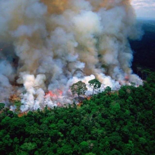 jaydevdave93's tweet image. Earth isn't dying. It's been killed. #amazonforestfire