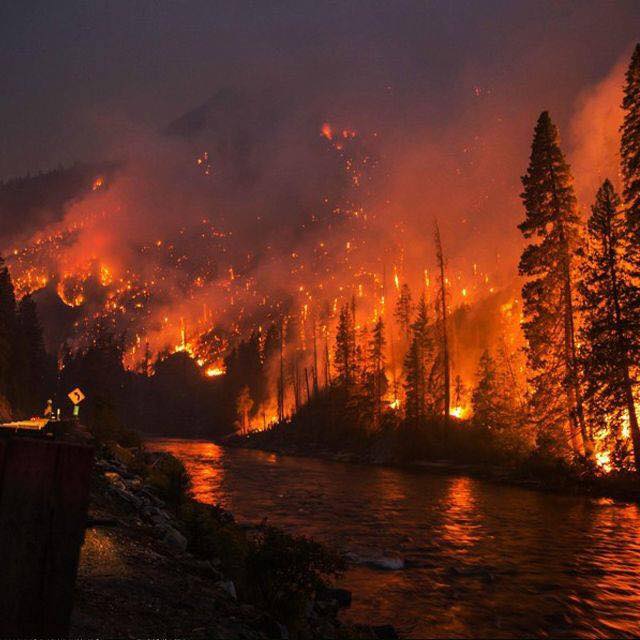 jaydevdave93's tweet image. Earth isn't dying. It's been killed. #amazonforestfire