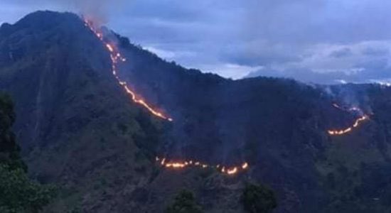 K_DeLanerolle's tweet image. Yesterday it was #AmazonFires &amp;amp; today it’s #EllaWildfire, as authorities are battling it hard along with @Sri_Lanka_Army to quench the fire that erupted in #EllaRock. Both local and foreign tourists visit @ellasrilanka, known for its scenic beauty #SriLanka #lka #Colombo