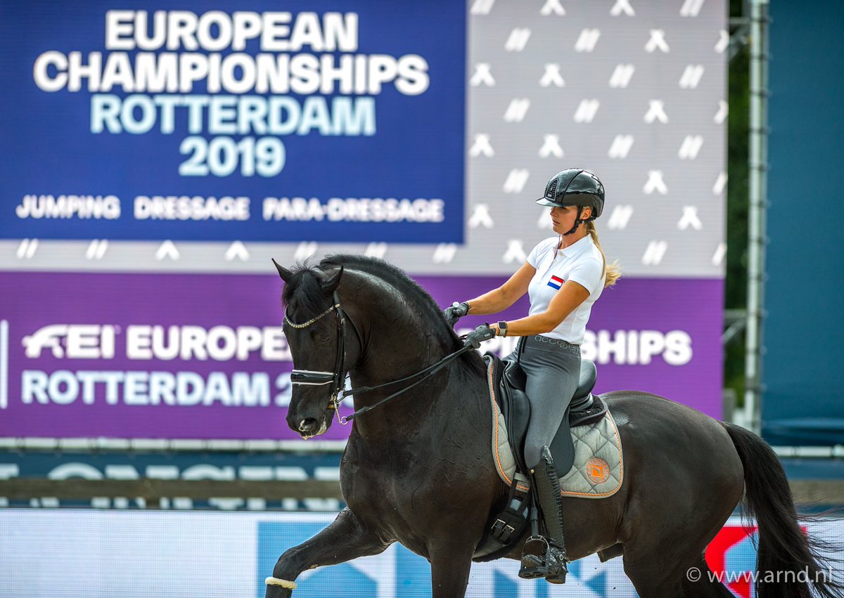FEIJumpinglive's tweet photo. -FEI Jumping- European- Championship 2nd part - live free
Watch live on🔴►https://t.co/uyP0IGqWhg
Watch live on🔴►https://t.co/uyP0IGqWhg
#FEIEuropeanChampionships
#feieuros2019 #ecrotterdam2019
 #Endurance #LONGINES #LONGINESFE
 #RotterdamLive
#european https://t.co/BzPxmNISbe