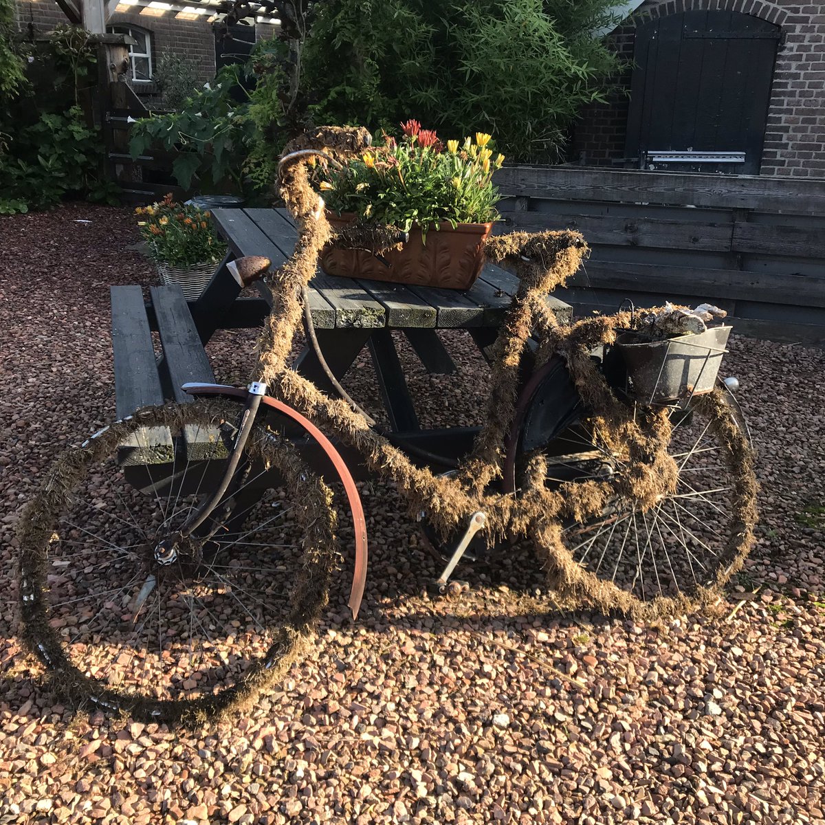 PennyHaw's tweet photo. Remember when, @farmer_glen and also, stationary bikes do gather moss - as per my #flatrun in the #Netherlands this morning. https://t.co/MtrNj8zfdX
