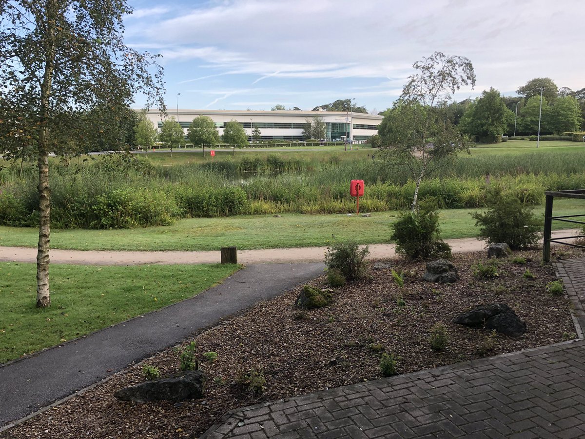 ste daley tweet media