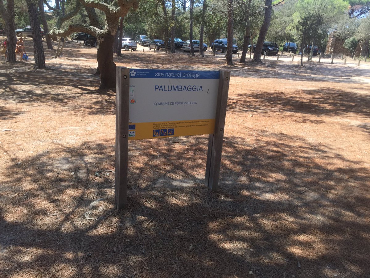 « Vous nous emmenez où ce matin ? » ... Pour la dernière, on termine en beauté ... à Palombaggia ! L’une des plus belles plages de France... Ses rochers, ses pins, ses eaux cristallines... un endroit qui n’a pas toujours été aussi fréquenté... RDV à 7h10 sur <a href="/Europe1/">Europe 1</a> ✌🏻🏖