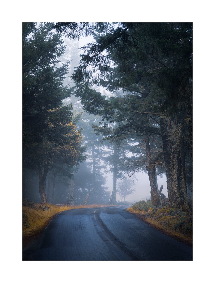 Mysterious fog
@SFGate
 #mttam #mttamalpais #fog #karlthefog #nighttime #bayarea #Hassleblad #hasselbladX1D