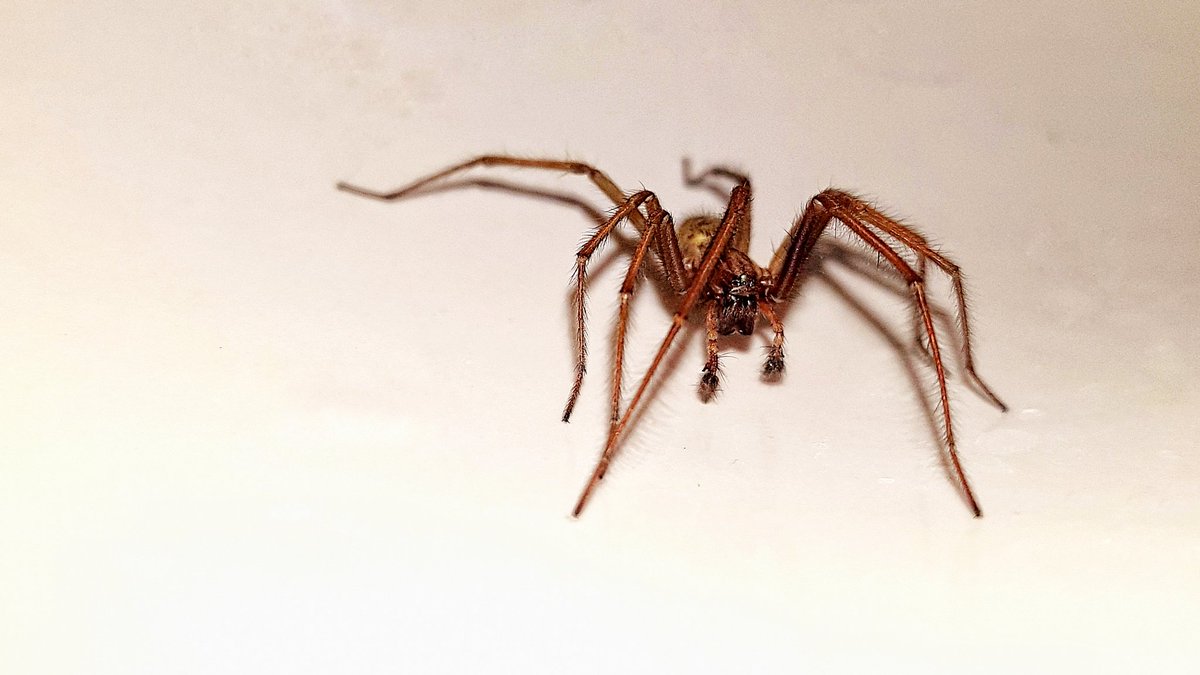 "Good morning" this greeted me in the bathroom sink!!