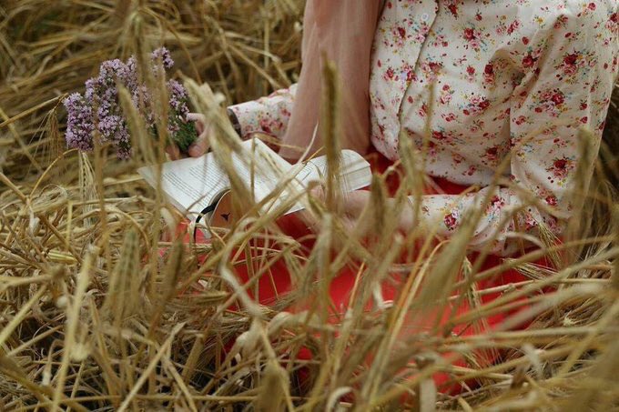 🦋🦋 (@5tmt__) on Twitter photo 