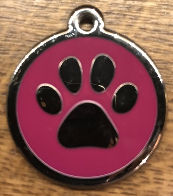 This kitty-tag will show everyone whom this flea-ridden ball of fur belongs to: Her Grace, the Lady S