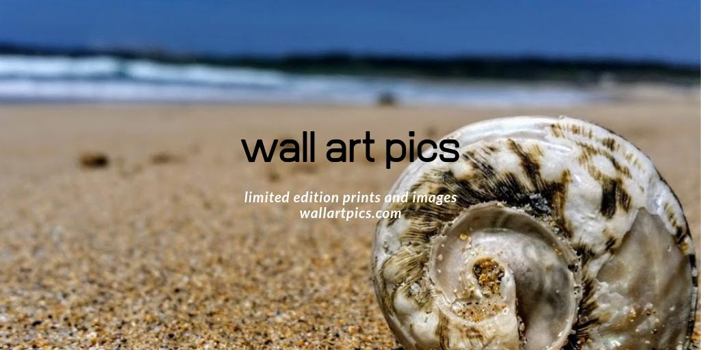 ShellharbourG's tweet image. Setting up website.