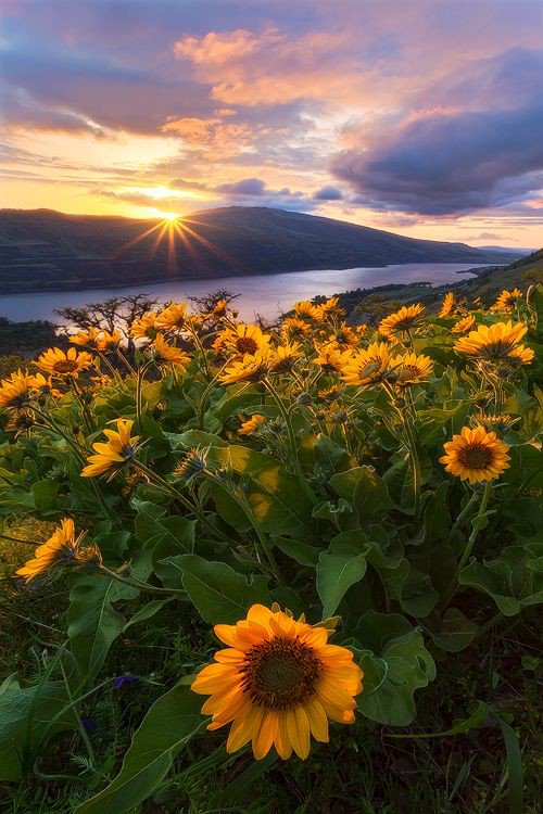 MarionSpekker's tweet image. Good morning : ))
Twitterworld ✨💛✨