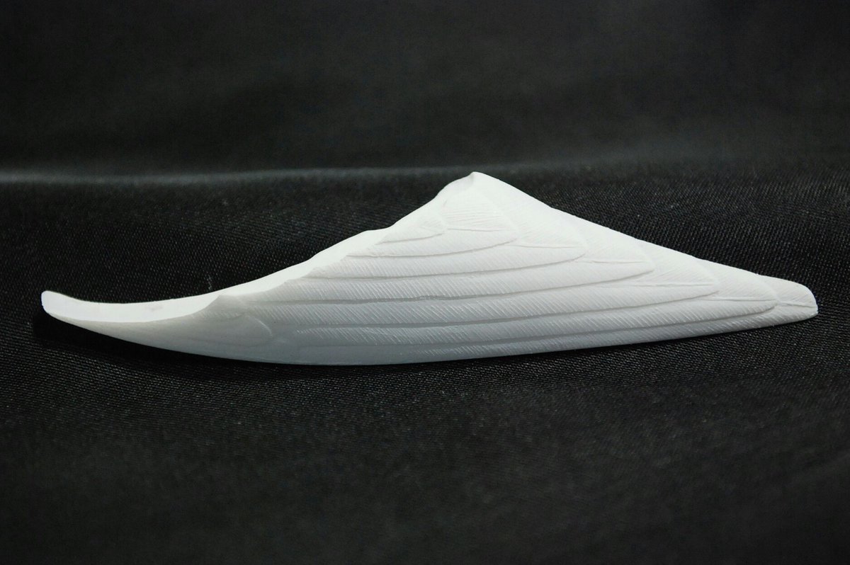 parakeet_art's tweet photo. This is a Flying Feather. I made it sticking.
The theme is to express the charm of a real bird.
#feather #Feather #flyingfeather #resin #resincast https://t.co/Q8Fh0tGirW